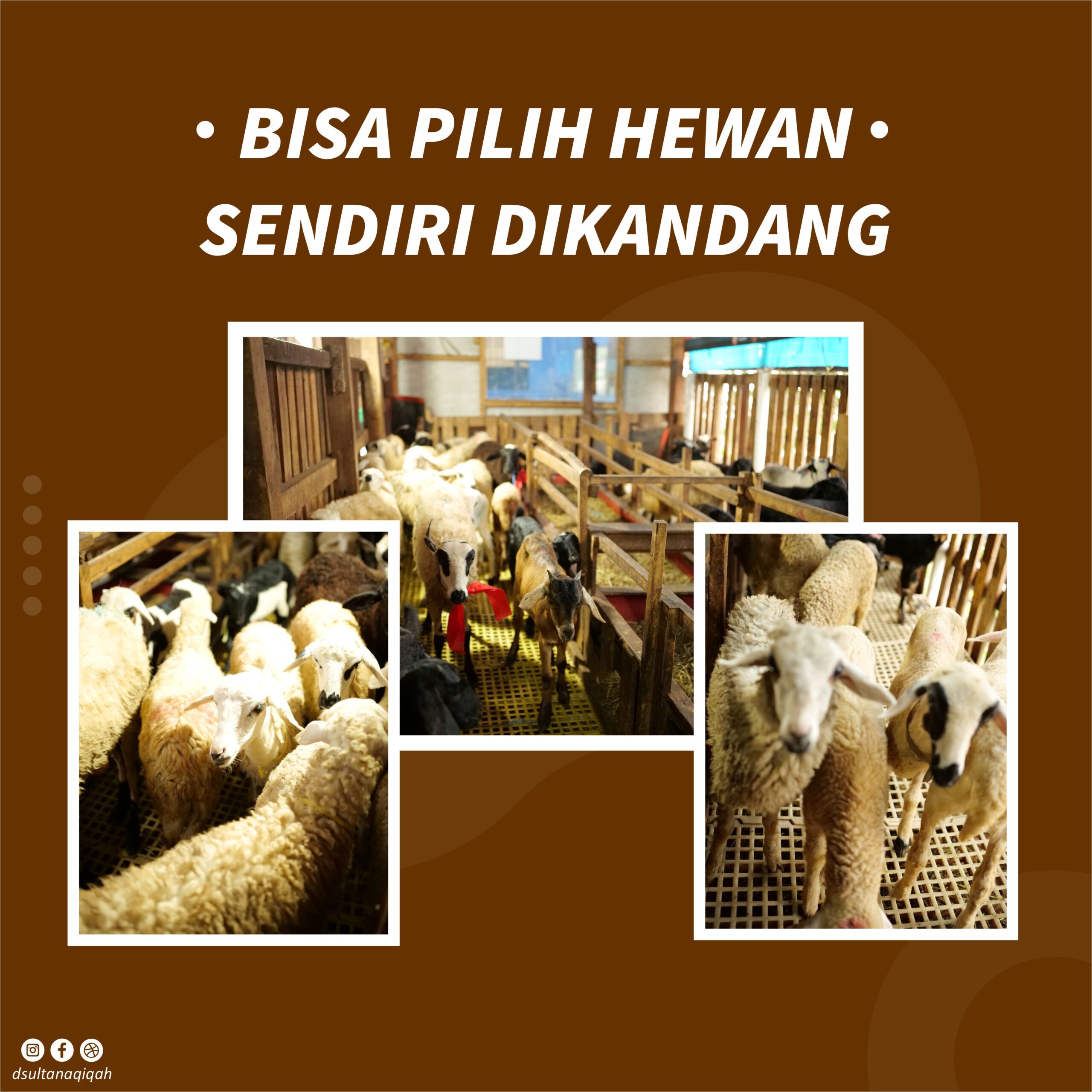 aqiqah