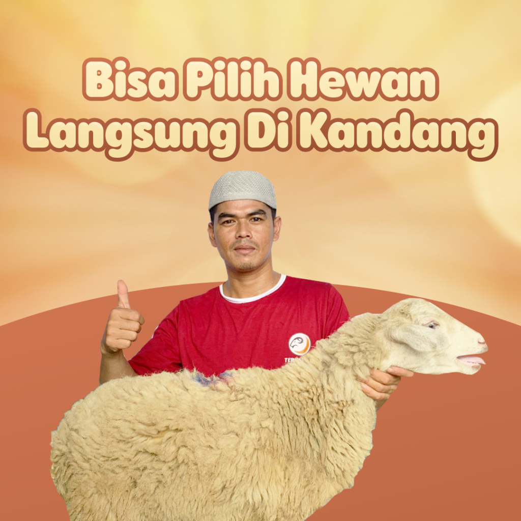 aqiqah